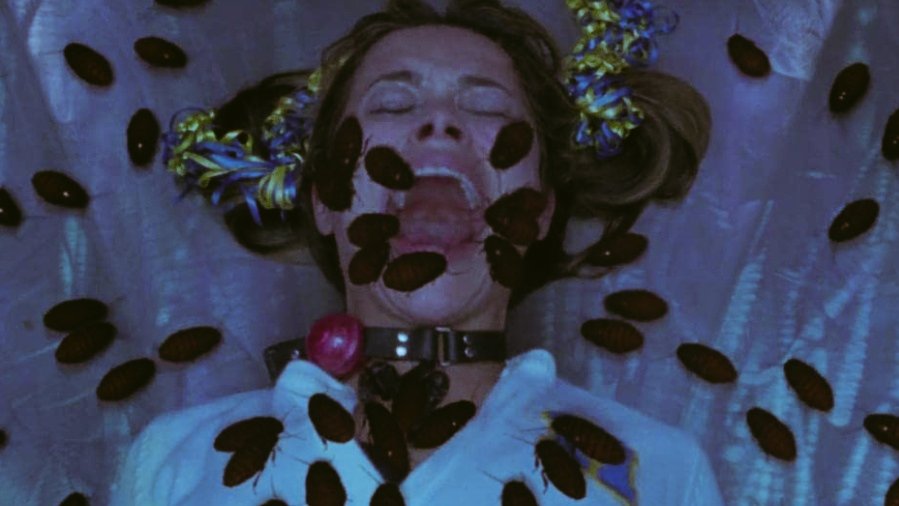 ホステル2 ホステル3 Marketingagricola Pt