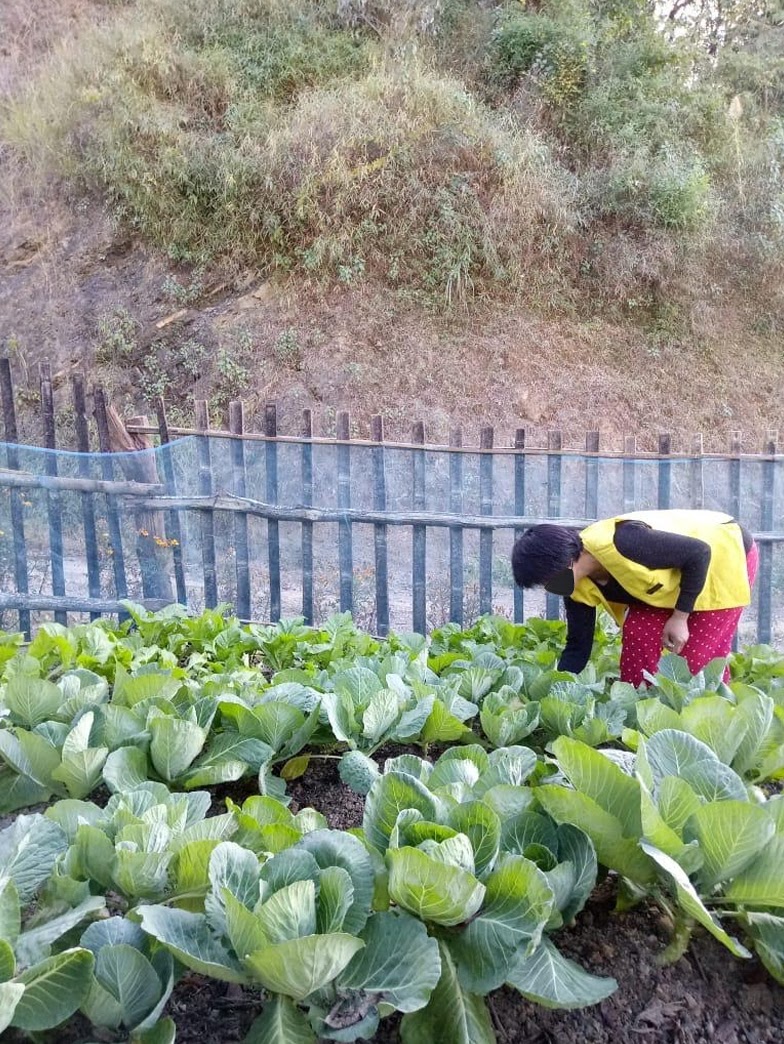 MinistryWCD's tweet photo. Under #POSHANAbhiyan, Anganwadi centres in Khezakhano AWC-B and Lawumi AWC-A, Phek District, #Nagaland are reinforcing healthy and systematic Nutri-garden culture amongst local community.
#SahiPoshanDeshRoshan https://t.co/7YcjV109ve