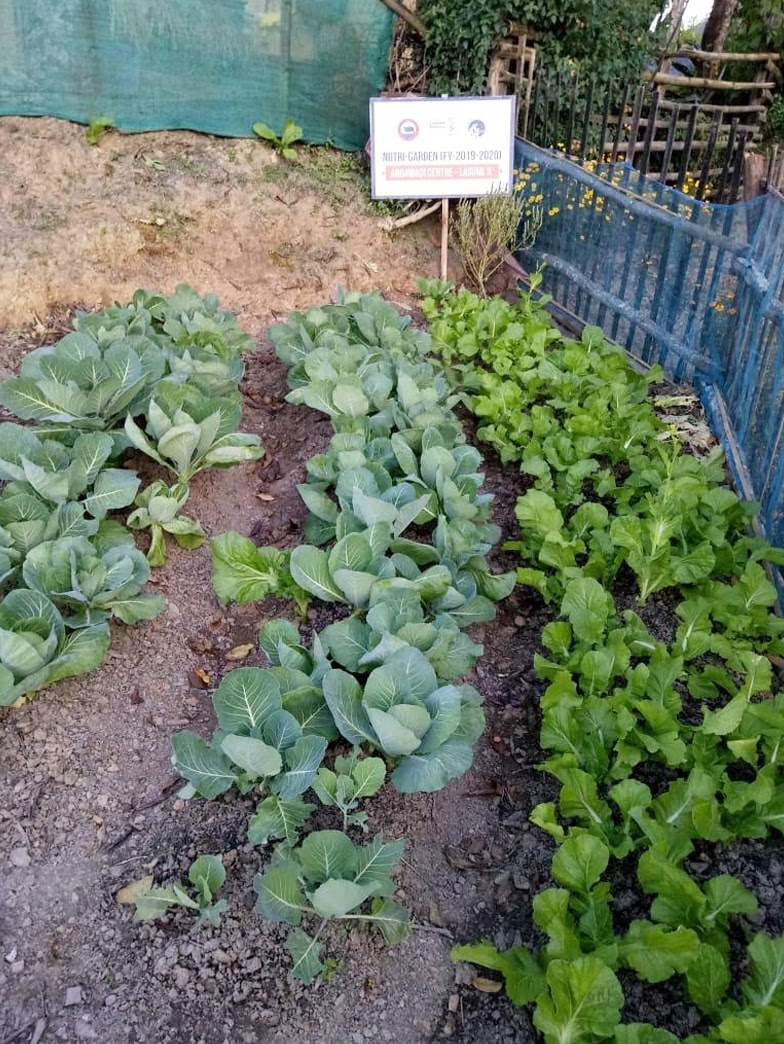 MinistryWCD's tweet photo. Under #POSHANAbhiyan, Anganwadi centres in Khezakhano AWC-B and Lawumi AWC-A, Phek District, #Nagaland are reinforcing healthy and systematic Nutri-garden culture amongst local community.
#SahiPoshanDeshRoshan https://t.co/7YcjV109ve