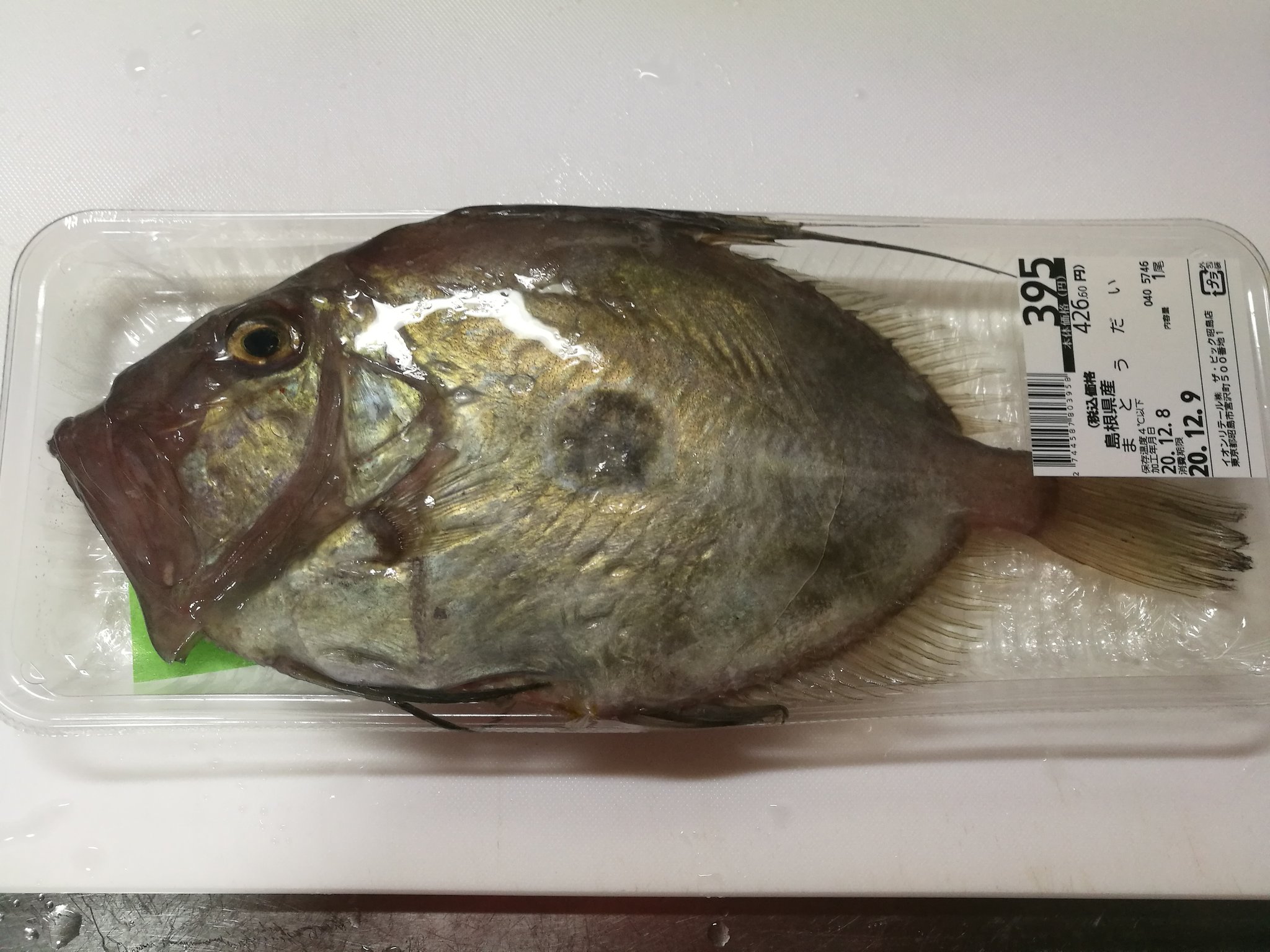 Tomohisa Fujita 珍しくスーパーでマトウダイを発見 胃袋からはエビ２尾とネンブツダイみたいな魚とたぶんオキギスらしき小魚 エイリアンのような折りたたみ式の口でひとのみされたのだろう丸のママ T Co Cttnrzggog Twitter
