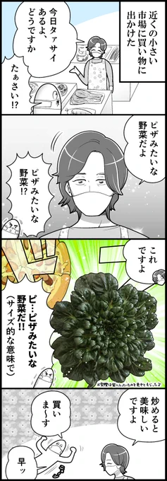 タァサイ楽しい美味しいね(計2枚です)

※食べ物の話なのでお腹が空いている人は気をつけてください 