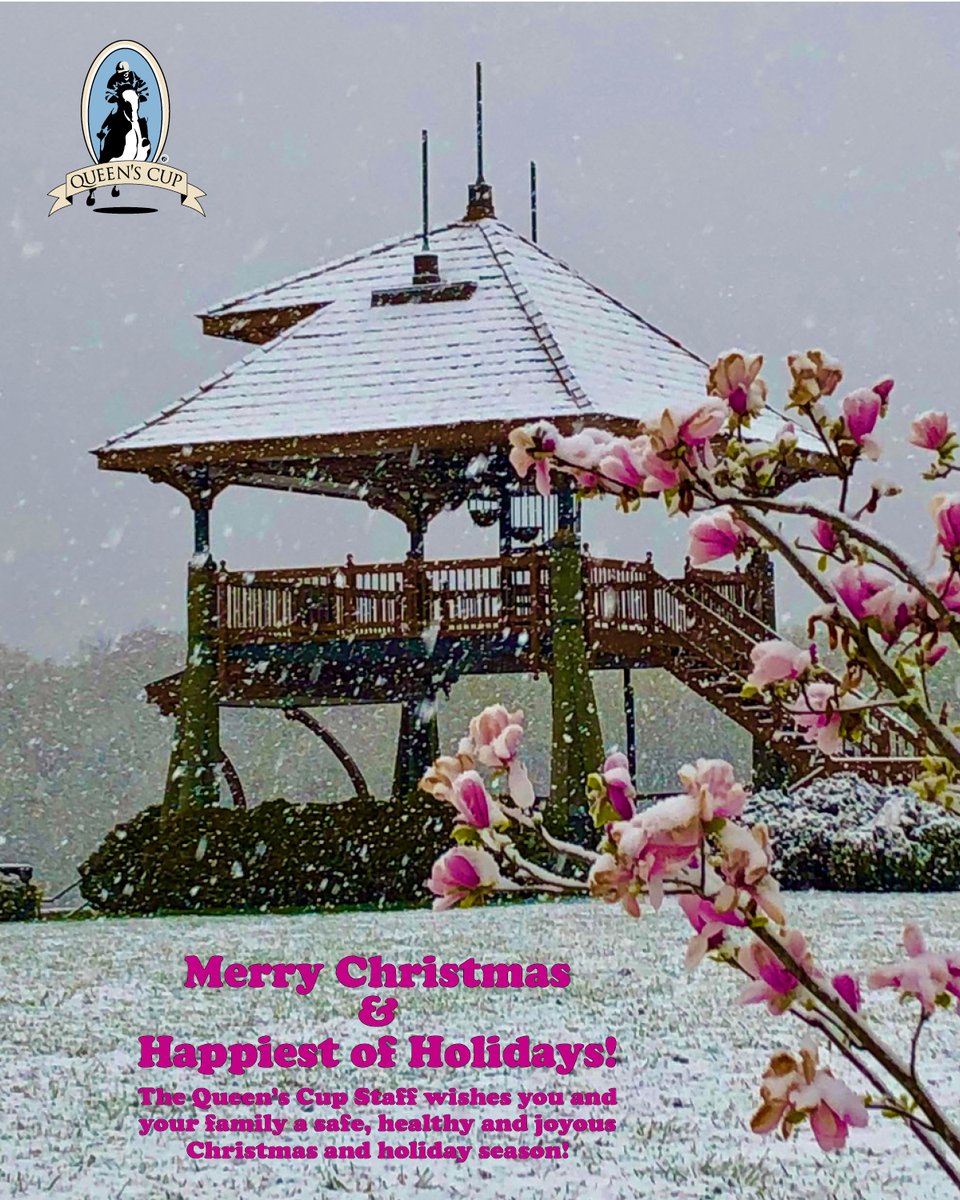 Merry Christmas from Queen's Cup Steeplechase - mailchi.mp/2ffa9a464f84/m…
