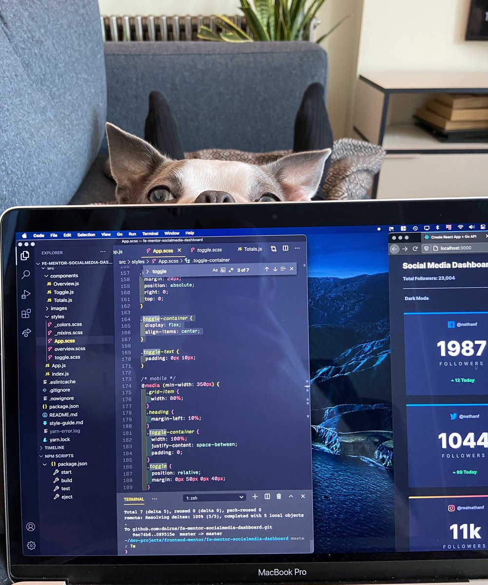 dnirns's tweet photo. Competition for my attention this morning #codingdog #woofscript #webdev #100DaysOfCode https://t.co/5Gc0JsY0a5