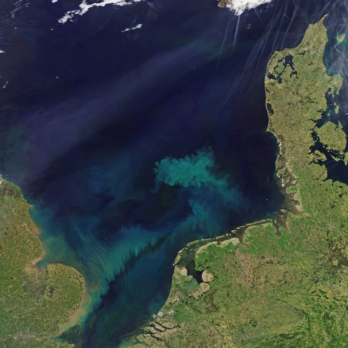 North Sea Energy | Offshore System Integration tweet media