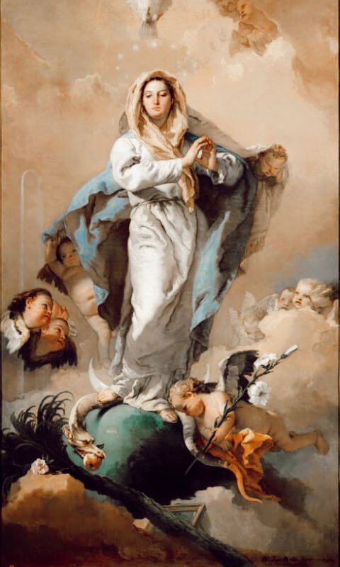 Solemnidad de la Inmaculada Concepción de la Virgen María.