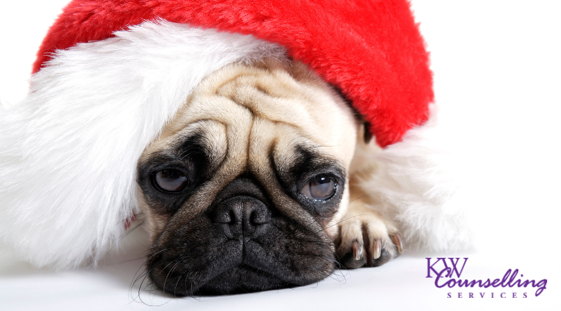 kwcounselling's tweet photo. Thread:

Though this season is often filled with happiness and fun, it can also be a time of loneliness, stress, and anxiety.  Here are 10 tips for coping with the holiday blues (adapted from the Mayo Clinic). https://t.co/nQdntAFmKn