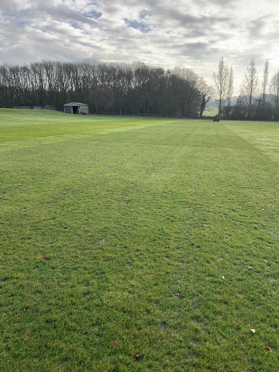 Dixie Groundstaff. tweet media