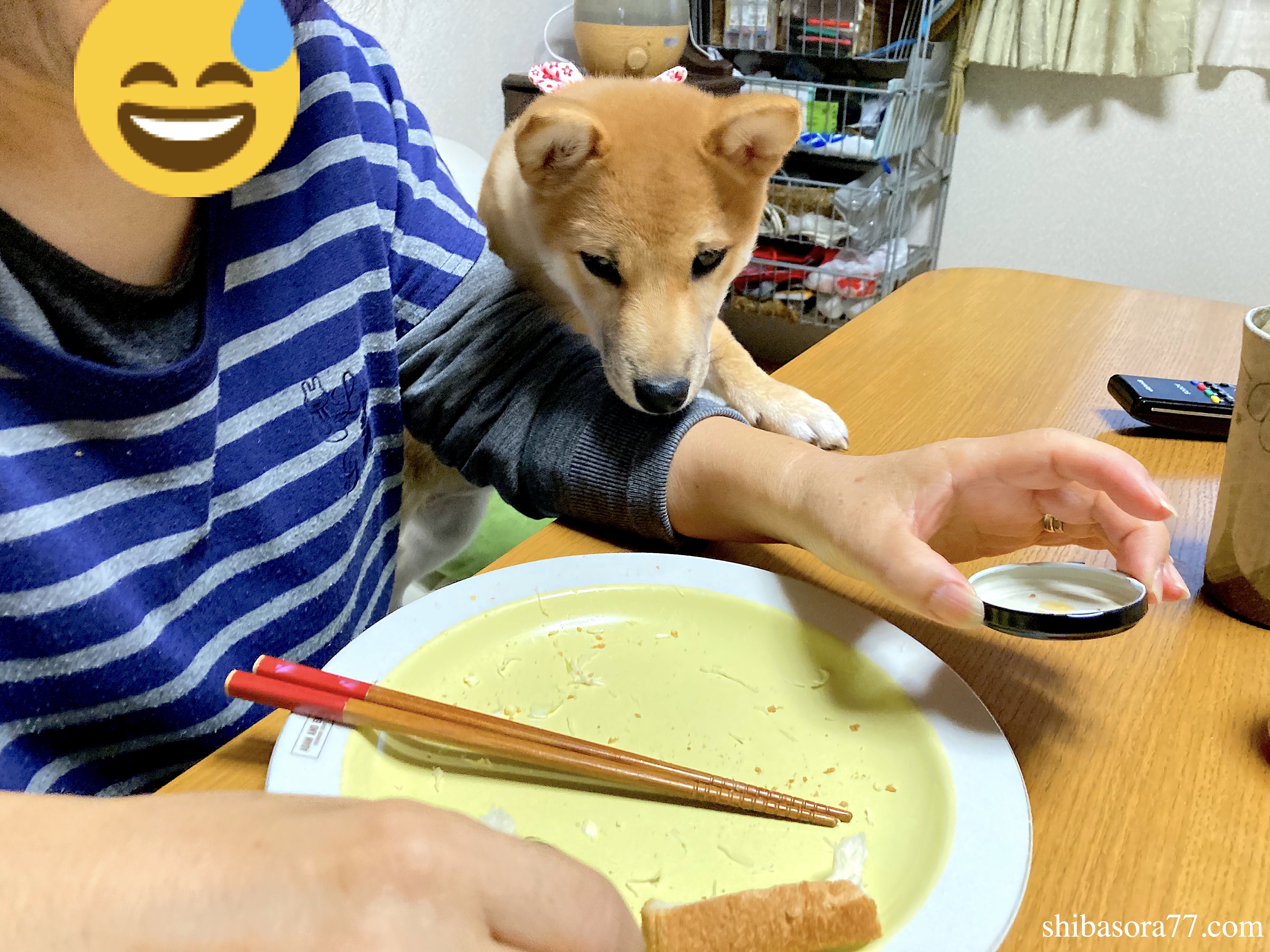 柴犬そら豆の部屋 Shibasora77 Twitter
