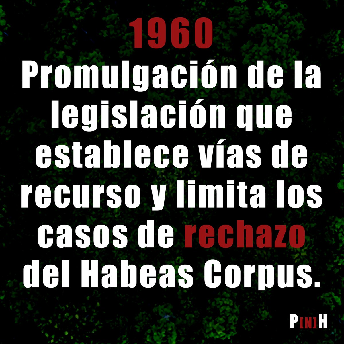 PersonaNHumana's tweet photo. 𝗘𝗡: What is "Habeas Corpus"? It’s a legal procedure that protects people against arbitrary arrests and detentions, to protect their personal and physical freedom.
The other great fundamental right that must be innate to all people.
#NonHumanPersonDoc, #habeascorpus, https://t.co/UIRIdg1NT1