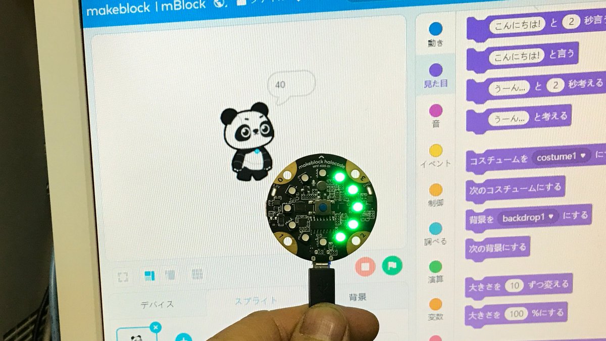 jaera_japan's tweet image. #Halocode　で　#音量測定器　大きな声を出したら、パンダが大きくなりました。