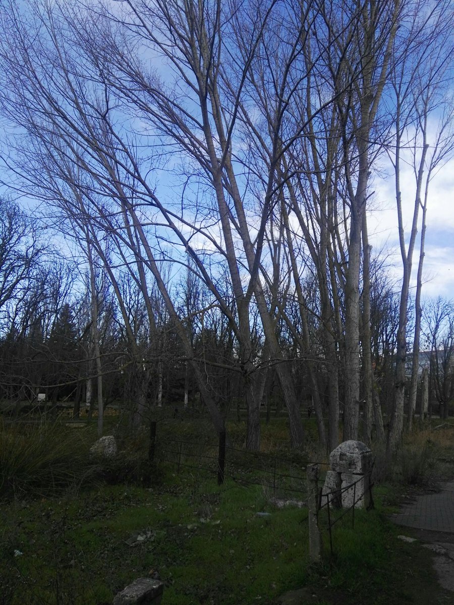 Mrtxu1's tweet photo. #chopos...partidos...#enfermos...
Urge una rápida actuación en esta zona de la ciudad.
Entornos de esta zona tan visitada por #Palentin@s y #turistas, #Puentecillas, lamentable...antes de que.suceda algo!! https://t.co/p3tjQC5hR5