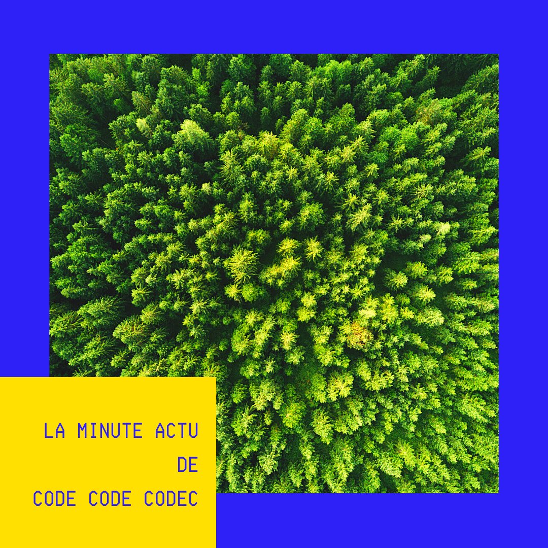 CodeCodeCodec's tweet image. L&apos;outil #CodeCarbon est un logiciel permettant de rendre l&apos;intelligence artificielle un peu plus #verte ! 🍃 Chez Code Code Codec, on adore ce concept : lactualite.com/techno/un-logi…
