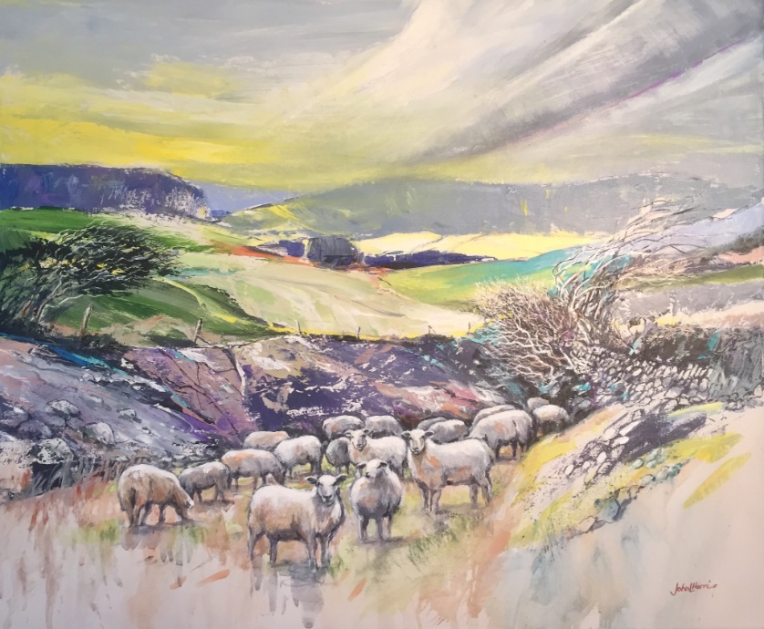 Sheep in a quarry, acrylic on canvas inspired by a visit to North cornwall