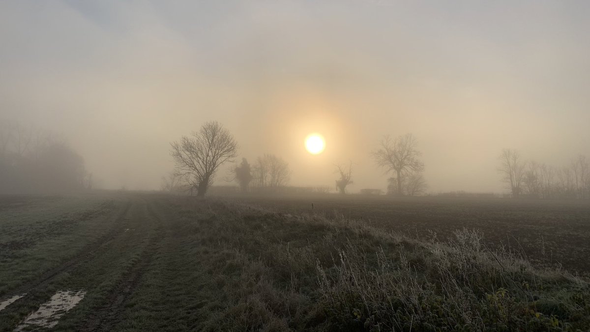 AdamMeakins's tweet photo. Stunning misty morning walk today! Have you had yours yet? #RespectTheSteps https://t.co/A7VYXBZvny https://t.co/QZKmUNoKdD