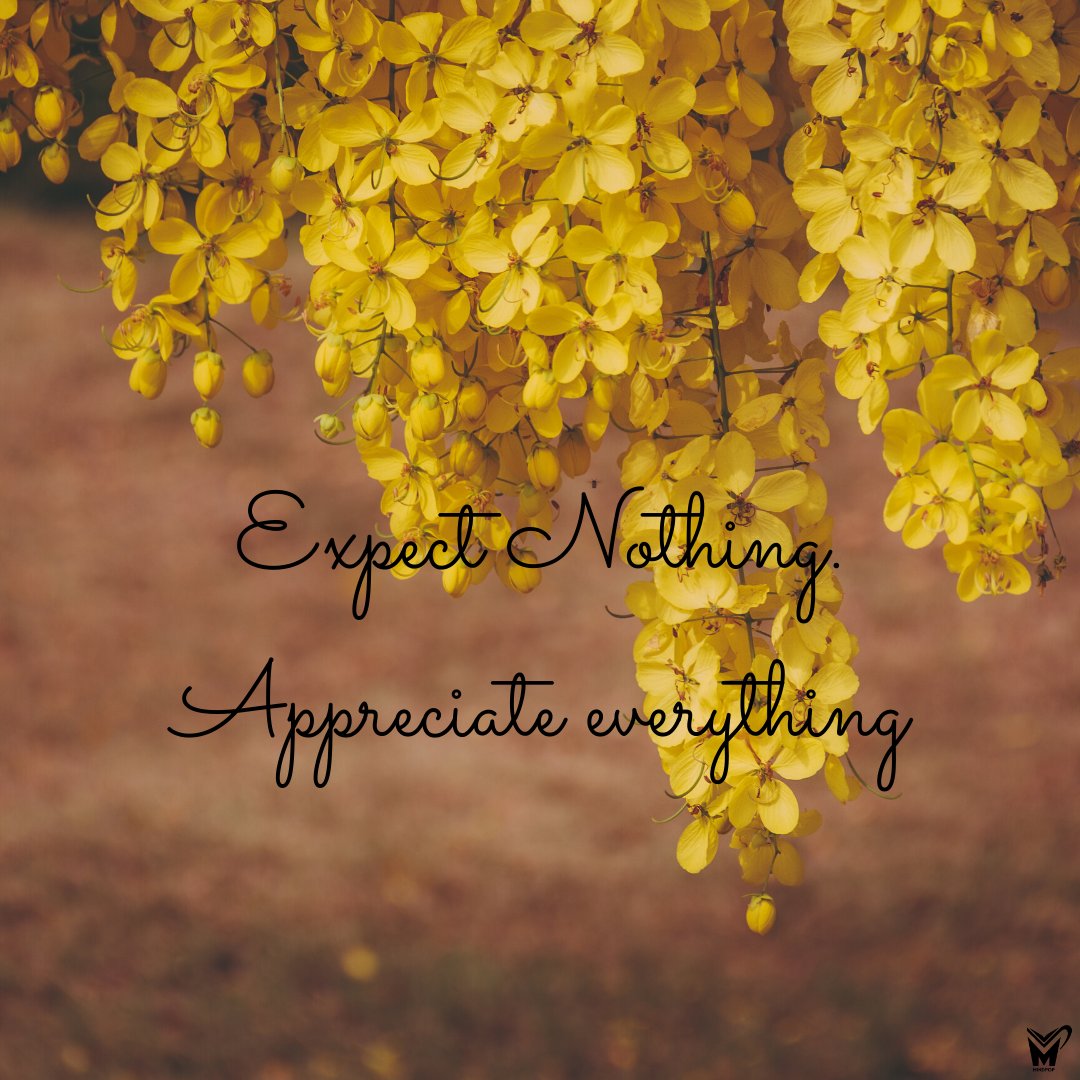 mindpop365's tweet photo. Expect Nothing
Appreciate Everything !😍
#mindpop #lifelessons #best #Expect #literature #books #quotes #life #celebrate #smallthings #appreciate #love #best #enjoy #thiink https://t.co/Hj4jchJwCH
