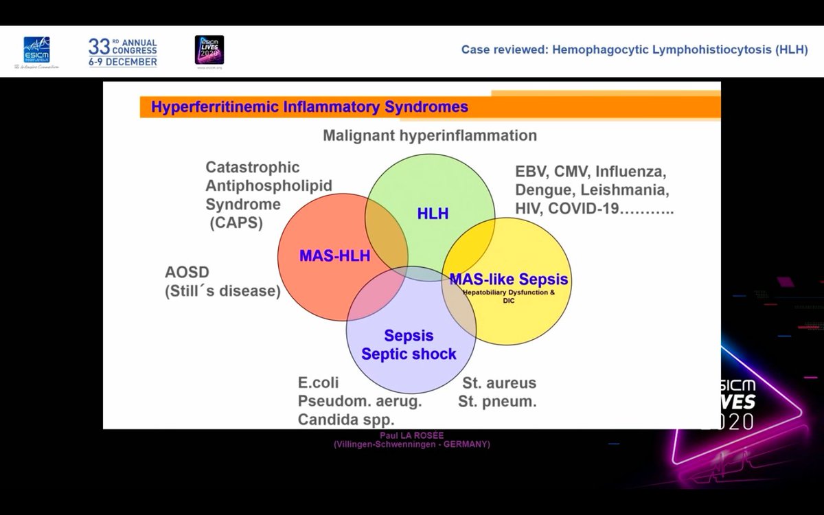 LauretaPereta's tweet photo. Paul La Rosee talking about Hemophagocytic Lymphohistiocytosis on Channel Milan moderated by @halaclimd. 
Great case review! 
Don't use guidelines from PICU. Only 16% of adult patients show hemophagocytosis in bone marrow. 
#ESICM #LIVES2020 https://t.co/dbd4DE6PxM