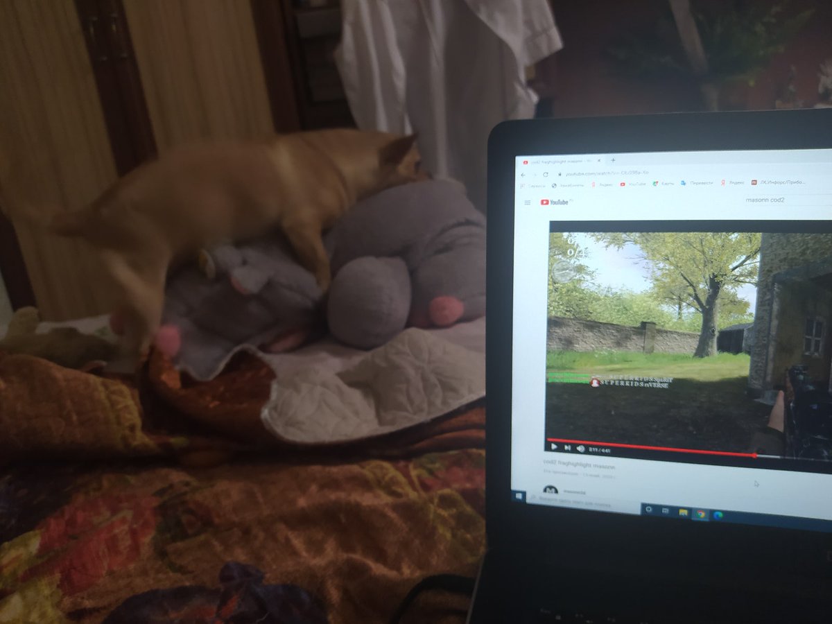 my dog shows a short description of the movie.  <a href="/masonn3d/">masonnheh</a> really very good👑
youtu.be/-OLiS98a-Xo