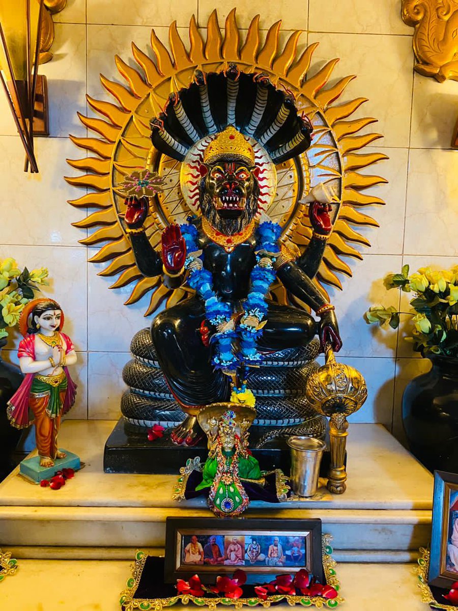 Damodar69884822's tweet photo. Todays Blissfull Darshan of #shrishriradhavrindavanchandra
@Ulhasnagar Centre
@AnandVrindavan Dham

For details contact on-
+91-7066727666
+91-9284826810

#krishnaconsciousness #krishna #Maharani #radharani #JaiJaganath #GaurNitai #JaiNarsinghdev #shrimadhusudanbapuji #damodardas https://t.co/huS37glGVd