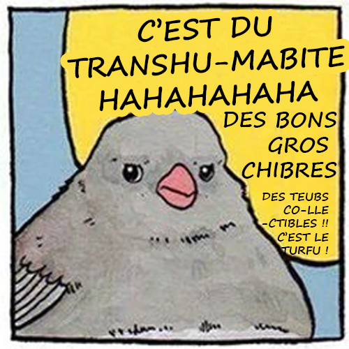 La corneille continue alors que le petit oiseau se renfrogne "C'EST DU TRANSHU-MABITE HAHAHA DE BONS GROS CHIBRES ! DES TEUBS CO-LLE-CTIBLES !! C'EST LE TURFU !"