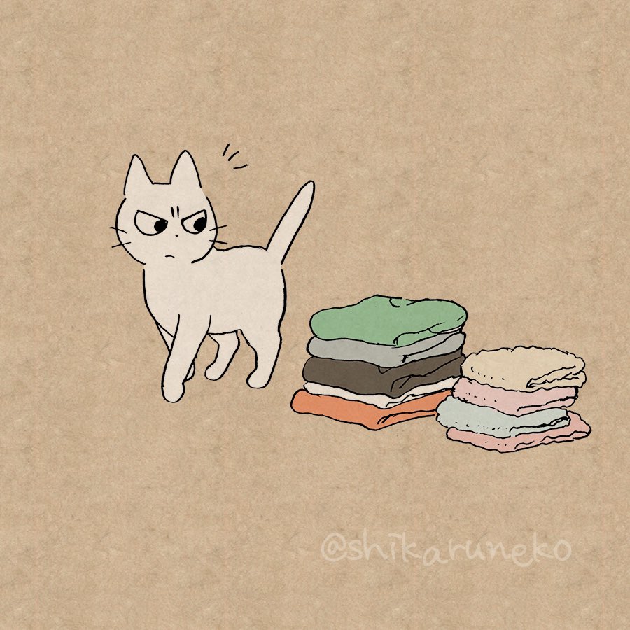 畳んだ洗濯物を置きっぱなしにしている人を叱ってくれる猫 