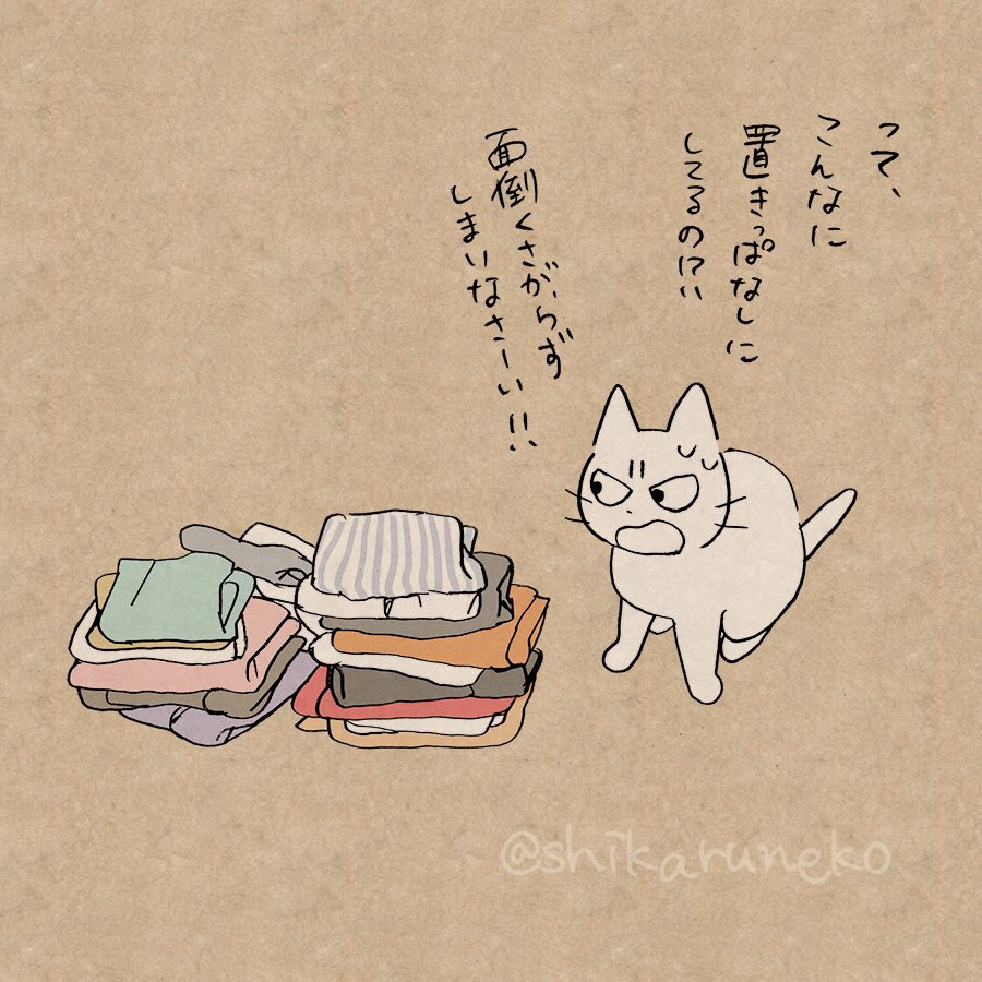 畳んだ洗濯物を置きっぱなしにしている人を叱ってくれる猫 