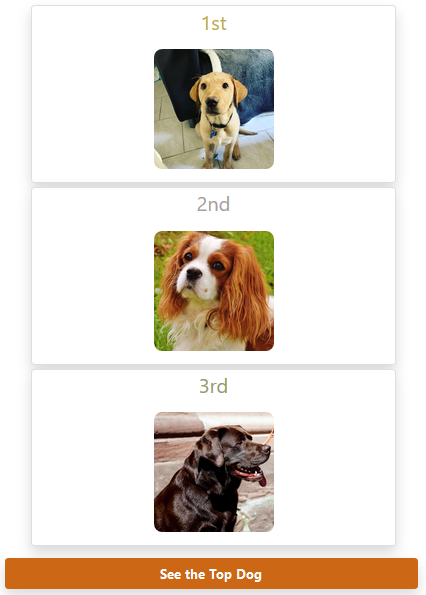 Top__Animals's tweet photo. The #TopDog ranking of this #December 8!
https://t.co/WbMocPvcq5
#cats #dogs #horse #chat #chien #cheval #catoftwitter #dogsoftwitter #horsesoftwitter #topanimals https://t.co/TZ5iXbBJZc