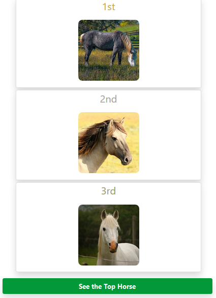 Top__Animals's tweet photo. The #TopHorses ranking of this #December 8!
https://t.co/WbMocPvcq5
#cats #dogs #horse #chat #chien #cheval #catoftwitter #dogsoftwitter #horsesoftwitter #topanimals https://t.co/dilp20t4uI