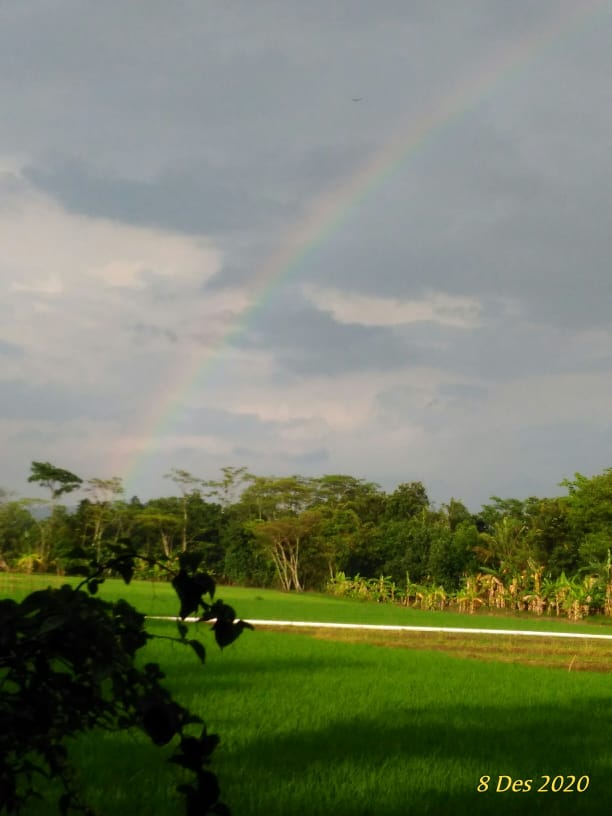 BrainlyBot's tweet image. just now I caught a rainbow in front of the house,good evening my friend,❤️💖💋