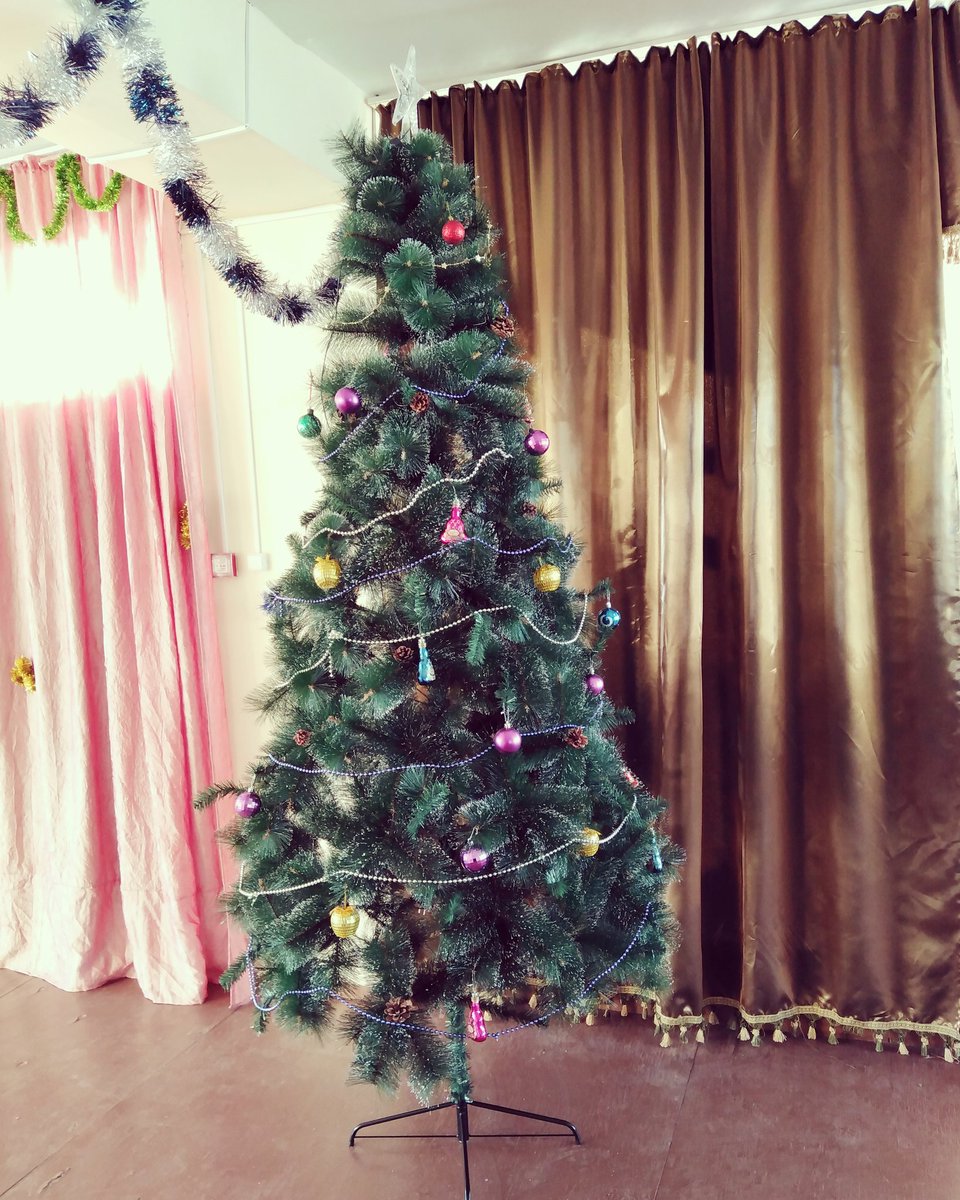 MariLednewa tweet picture