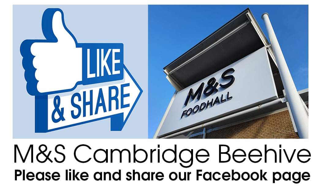 Kelvin Fagan Kelvin Fagan Twitter