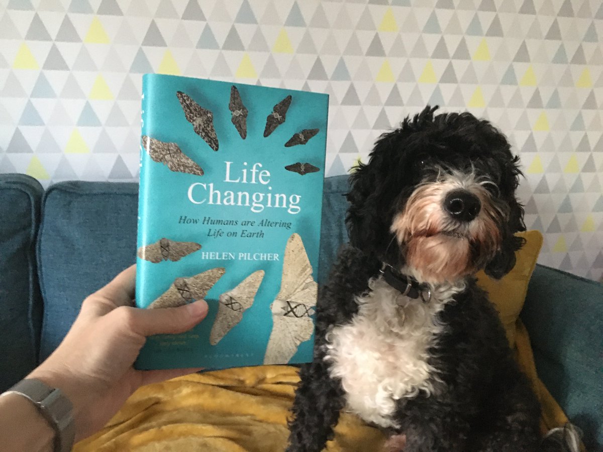 HelenPilcher1's tweet image. I love an @edu_in_action talk. In an hour, I'll be talking pizzly bears, cloned polo ponies and weird fish. #LifeChanging