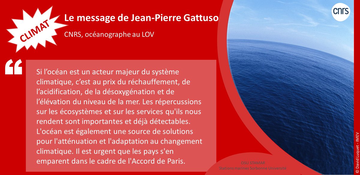 IMEV_mer's tweet photo. Les messages de nos scientifiques #OSUSTAMAR @Sorbonne_Univ_ #journeemondialeduclimat
Le message de Jean-Pierre Gattuso @jpGattuso @IMEV_mer @CNRS @INSU_CNRS #OnSeBatPourLeClimat
#climatechange #acidification #ocean #CO2 #GE #montéedeseaux #désoxygénationdesocéans https://t.co/NKgMk7L0Xn