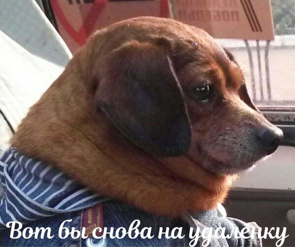 EotZe7OXIAUsdVB?format=jpg&name=medium
