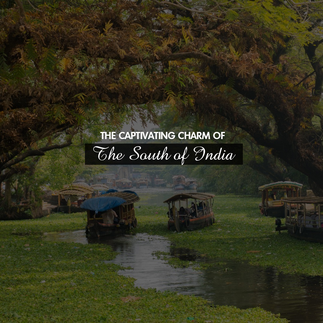 Travelxpdotcom's tweet photo. The South of India is blissful heaven with an abundance of godly visuals and amazing natural backwaters. Famed for its inspiring lifestyle of peaceful charm. Explore the nature-rich land that never fails to mesmerize, allure, and calm you!
#travelxpdotcom https://t.co/GVGLj6LI65