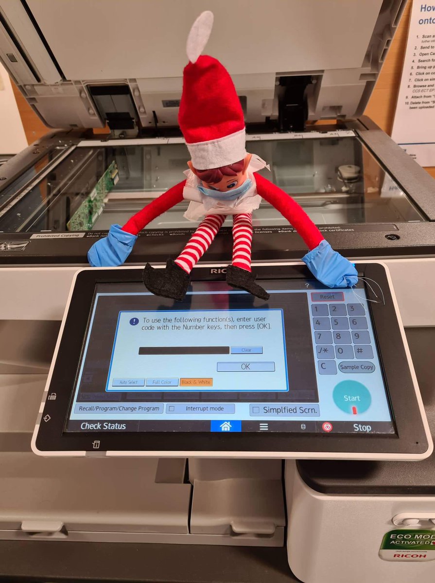 HWHCT_EBBINT's tweet photo. Really Eddie!! You just couldn’t help yourself! What would Santa say? 🎅🏼#eddietheelf #christmasfun #mischiefmaker 💫 https://t.co/KmFvquDuJx