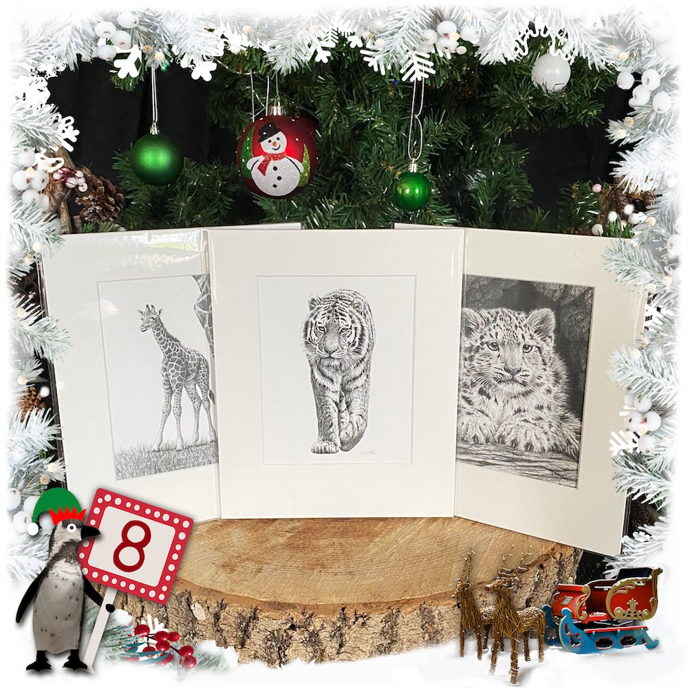Marwellwildlife's tweet photo. 🎄🎁 DAY 8 🎁🎄
 
Love animals? Can’t get enough of beautiful art? We have the perfect giveaway for you! Three winners will receive one of these stunning prints by the talented Anthony Wyatt.

To enter, head to our Facebook page! 🎁
https://t.co/NuDQSgfNdO

#12DaysOfMarwell https://t.co/iYAyKZQ7NS