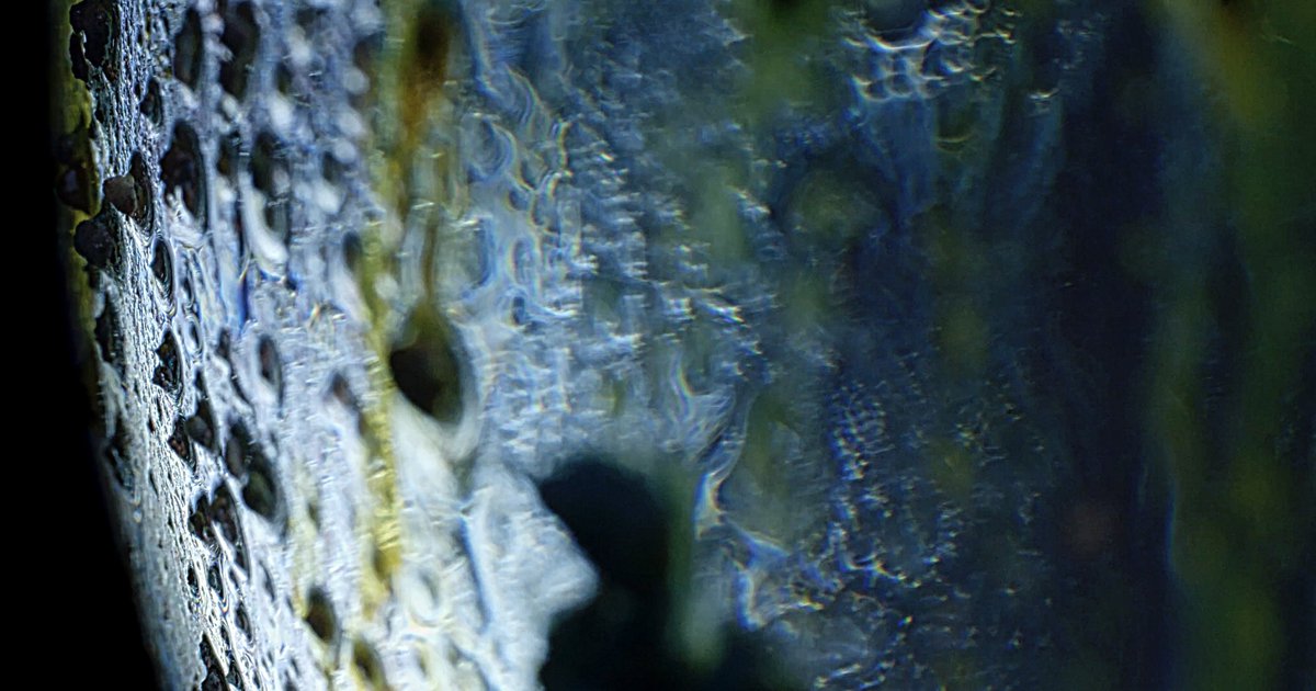 PhilipClemo's tweet photo. Another of my shots from my new micro planetary series... shot on a Kinefinity Mavo 6K camera with Leica macro lens and bellows.

@seditionart @kinefinity @leica_camera @GoldenAcrylics #macrophotography #macrofilming #mavo6k #leicalens #chemicalart https://t.co/uXNUTkrHn1