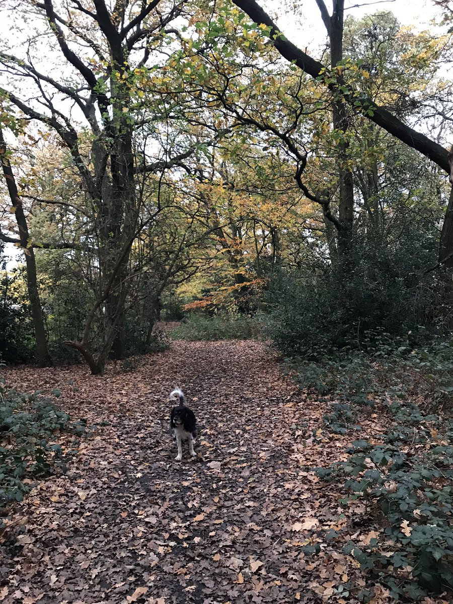 LeonieC's tweet photo. People. COVID rates in Wandsworth have gone back up to over 100 cases per 100k population. We will end up in Tier 3 if we donโt #KeepOurDistance #WearMasks https://t.co/M0oek6jVys