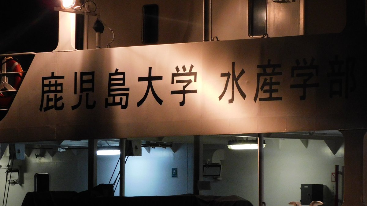 Emariinu2006's tweet photo. 1 2枚目は鹿児島大学 水産学部の かごしま丸
3と4枚目は海上保安庁のこしき うけゆりです。
3枚目は 鹿児島海上保安署所属のこしき PL69
4枚目は 指宿海上保安署所属のうけゆり CL152
#CL152 #PL69 #海上保安庁 #かごしま丸 #鹿児島大学水産学部 #こしき #海上保安署 #種子島 #西之表港 https://t.co/vFlHHz00kW