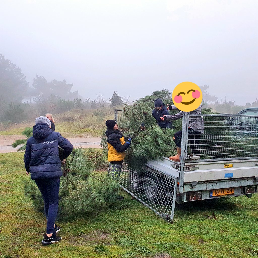Anke_op_Vlie's tweet photo. Vanmorgen met de Vlielander jeugd van #DeJutter kerstbomen zagen. #traditie @staatsbosbeheer https://t.co/t5LrEGl7o2