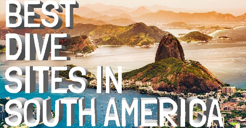 simplyscuba's tweet photo. We've looked at some of the best dive sites in the UK, USA and Europe, but today we will be delving into some of the greatest dive sites that South America has to offer.
Read - https://t.co/zy2ukFACgI
#scubablog #scubadiving #travel