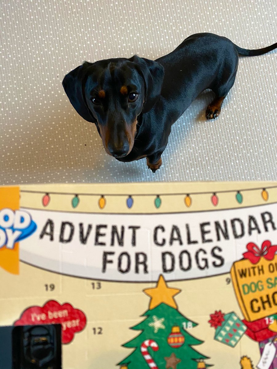 Steve and Stan-Stan The Sausages tweet media