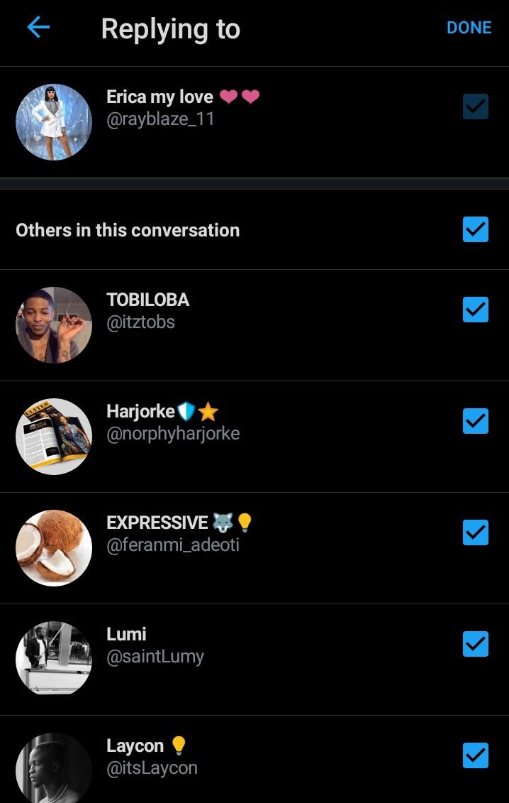 Step 3. As you don click on "replying to..." you'll see list of the people you're replying to. Nah all of them to get notification of your reply including our tagged fave. Damn, I pity Laycon's notifications. 