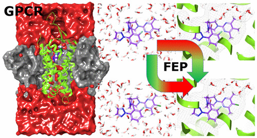 Accurate Prediction of #GPCR #Ligand Binding Affinity with Free Energy Perturbation    
pubs.acs.org/doi/10.1021/ac…
<a href="/Lauraperezb1/">Laura perez benito</a>
 <a href="/MilesCcc/">Miles Congreve</a>
 <a href="/hermanvvlijmen/">Herman van Vlijmen</a>
 <a href="/Chris_de_Graaf/">Chris de Graaf</a>
 <a href="/gtresadern/">Gary Tresadern</a>
 <a href="/soseiheptaresco/">covujese</a>
 @JanssenEMEA
 <a href="/UniLeidenNews/">Leiden University</a>  
#current_issue #Pharmaceutical_modeling