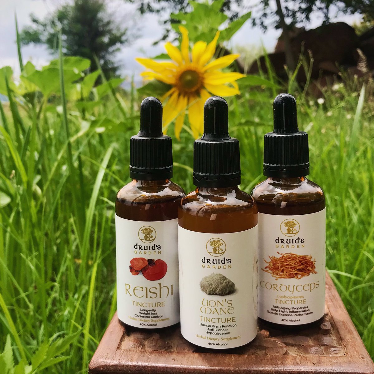 There’s plenty of wellness on the shelves. 

Use INSTA20 at checkout for 20% off today. Check bio link for our wide selection. 🌿☀️