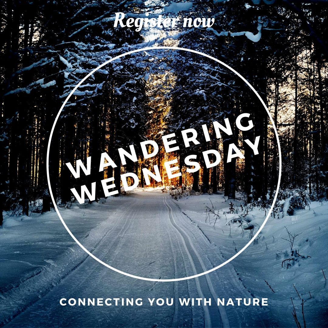 Tomorrow is WANDERING WEDNESDAY! We’ll be wandering the Shirley &amp; George Pond Reserve. This is one of the Long Point Basin Land Trust properties that is being restored to protect a water source for Turkey Point Wetlands.

Register buff.ly/2IsSSfW buff.ly/2JNvgDc