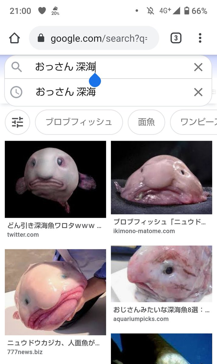 冷光 空也 たしか冒険図鑑 ホームレスになっても最小の道具で活動していきていくんだ 子供特有の深刻さ と開いたくせに リアルなイラストのカッコよさばかり見てた 価値観がミニマリストほどかっこいい バンライフかっこいい ダニエル ノリス