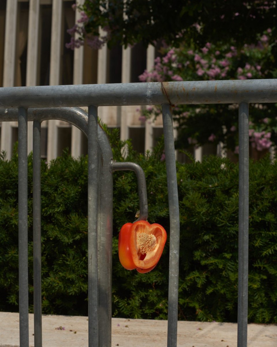 Brooklyn Fare (@brooklynfare1) on Twitter photo 