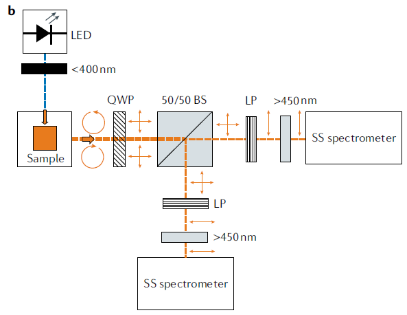 Just to give you an idea how insanely small the chiral spectrometer components are getting, here's a minature spectrometer released by Ocean Insight/Ocean Optics! We need a couple of these and some other optical components. (11/n)