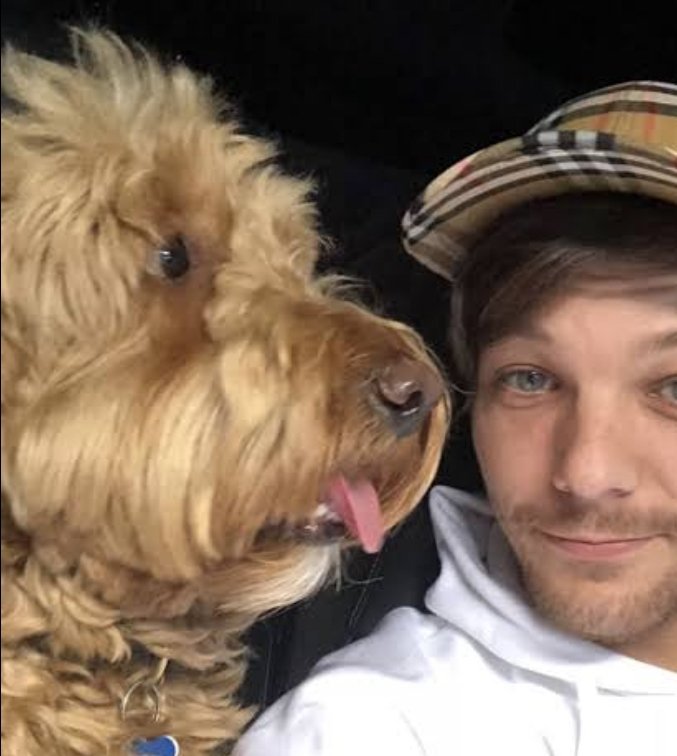 louis tomlinson as dicks ; a short but necessarry thread